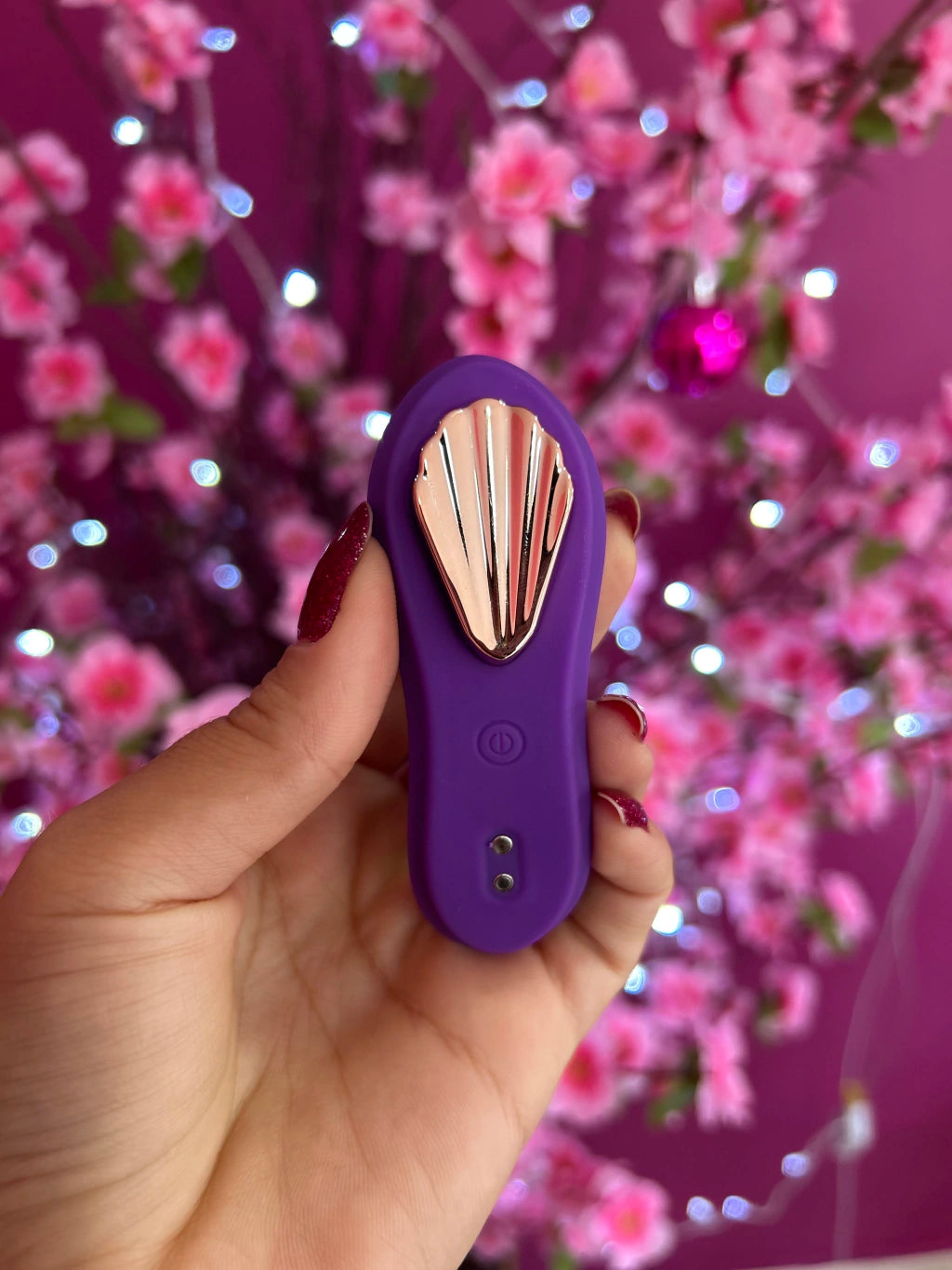 Paty vibrador de calcinha via app