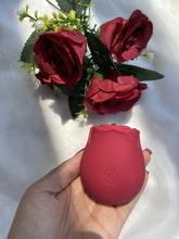 Sugador Rosa